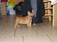 Foster
